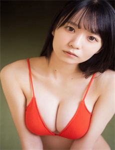 《大象电视剧》